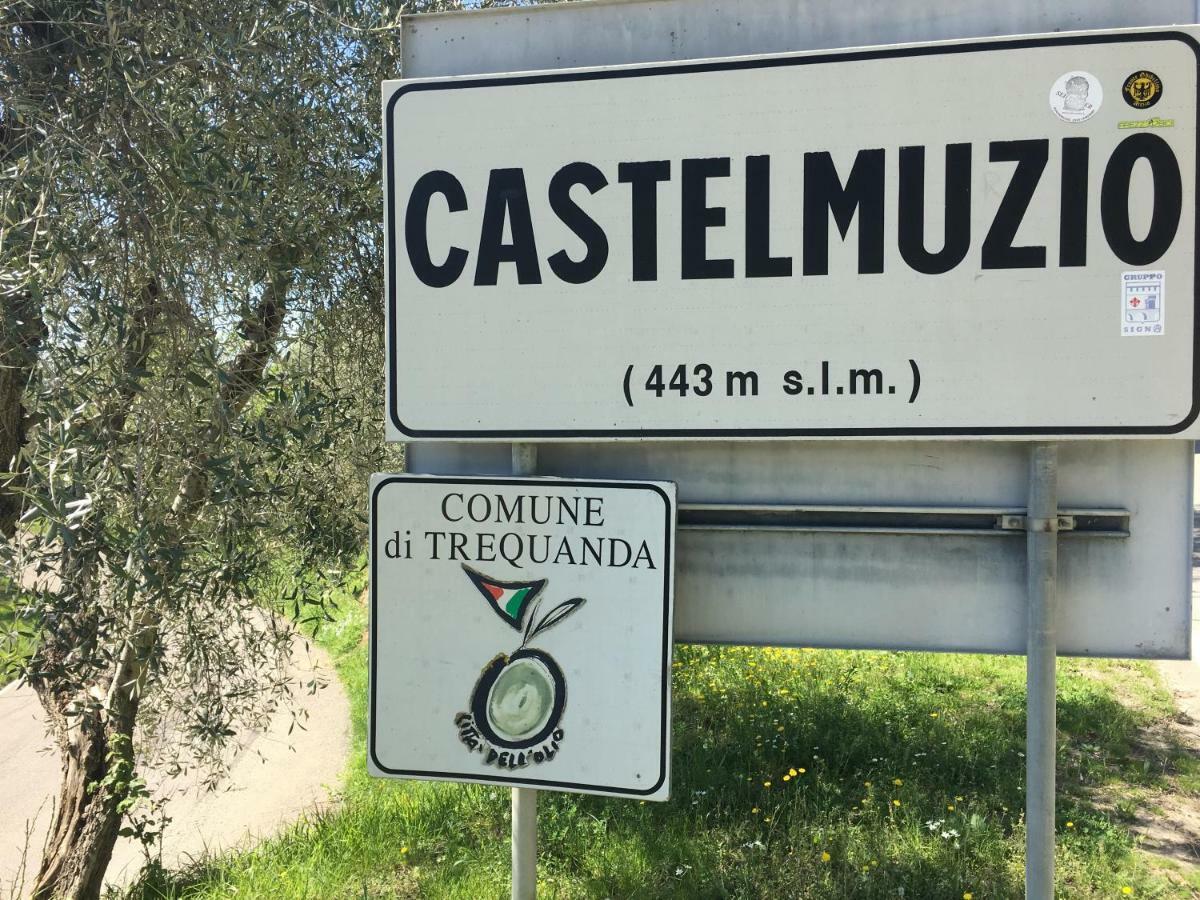 Willa Casa Sandro A Podere Pascianella Castelmuzio Zewnętrze zdjęcie